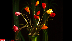 Paper flower Tulip